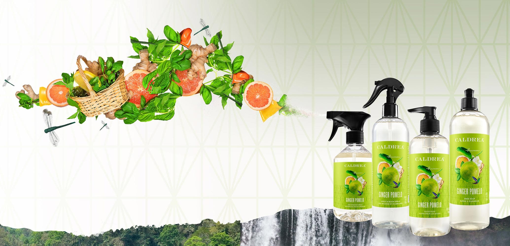 A collection of countertop spray, dish soap, and more spray out elements that encompass our scent: Ginger Pomelo.