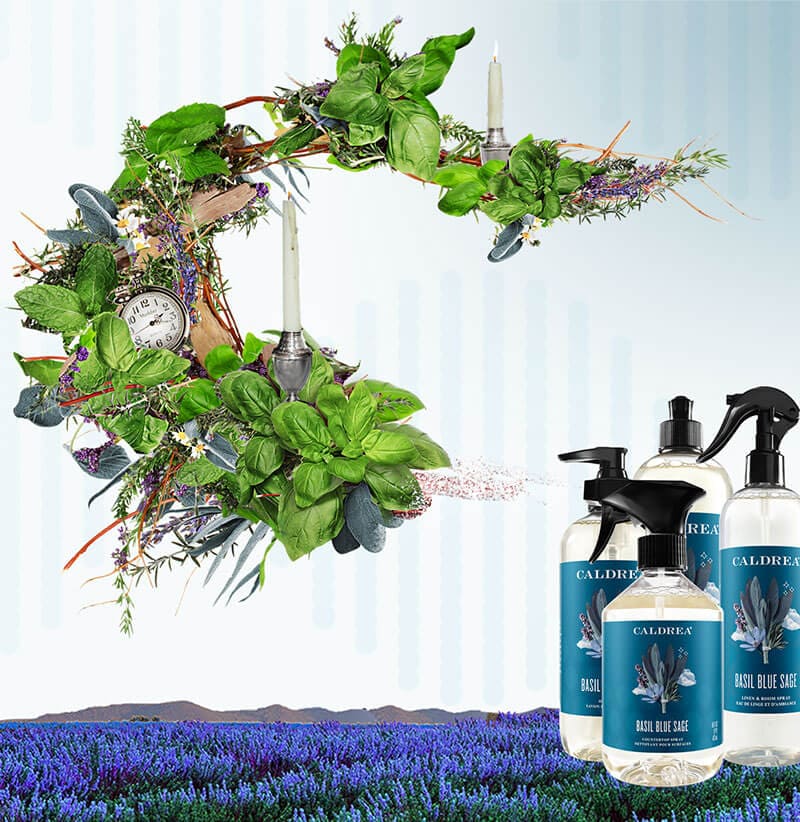 A collection of countertop spray, dish soap, and more spray out elements that encompass our scent: Basil Blue Sage.