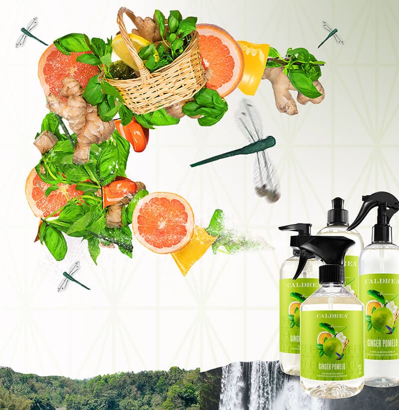 A collection of countertop spray, dish soap, and more spray out elements that encompass our scent: Ginger Pomelo.