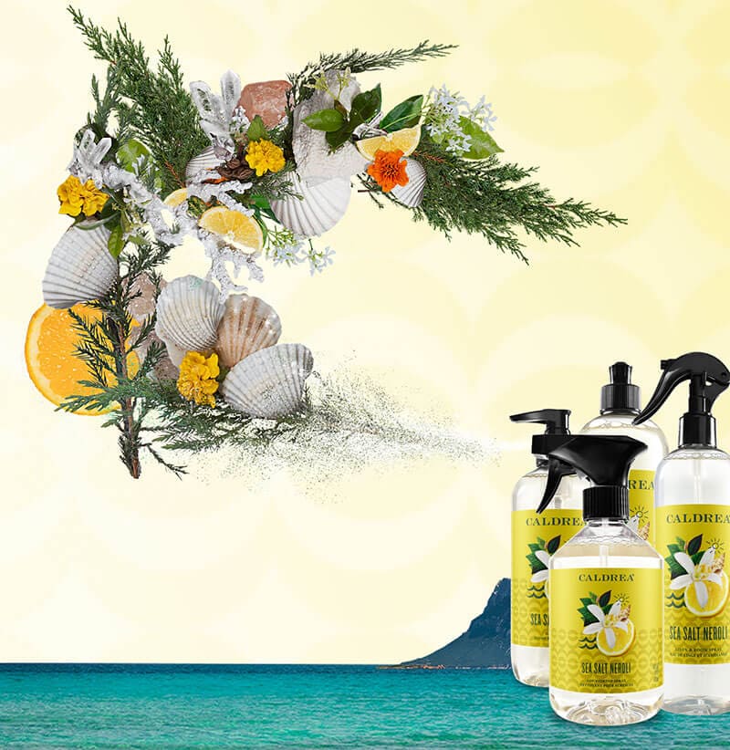 A collection of countertop spray, dish soap, and more spray out elements that encompass our scent: Sea Salt Neroli.