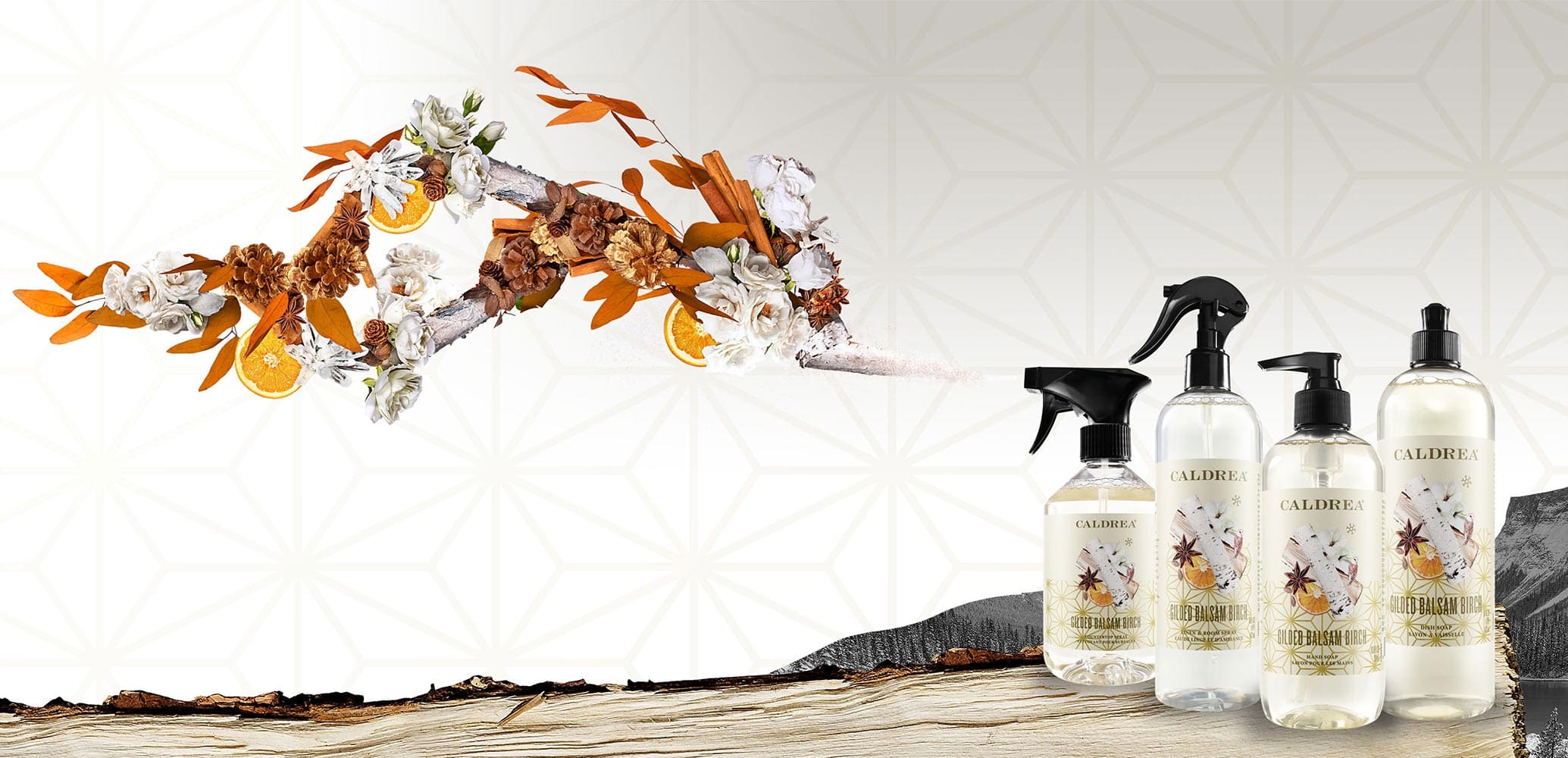 A collection of countertop spray, dish soap, and more spray out elements that encompass our scent: Gilded Balsam Birch.