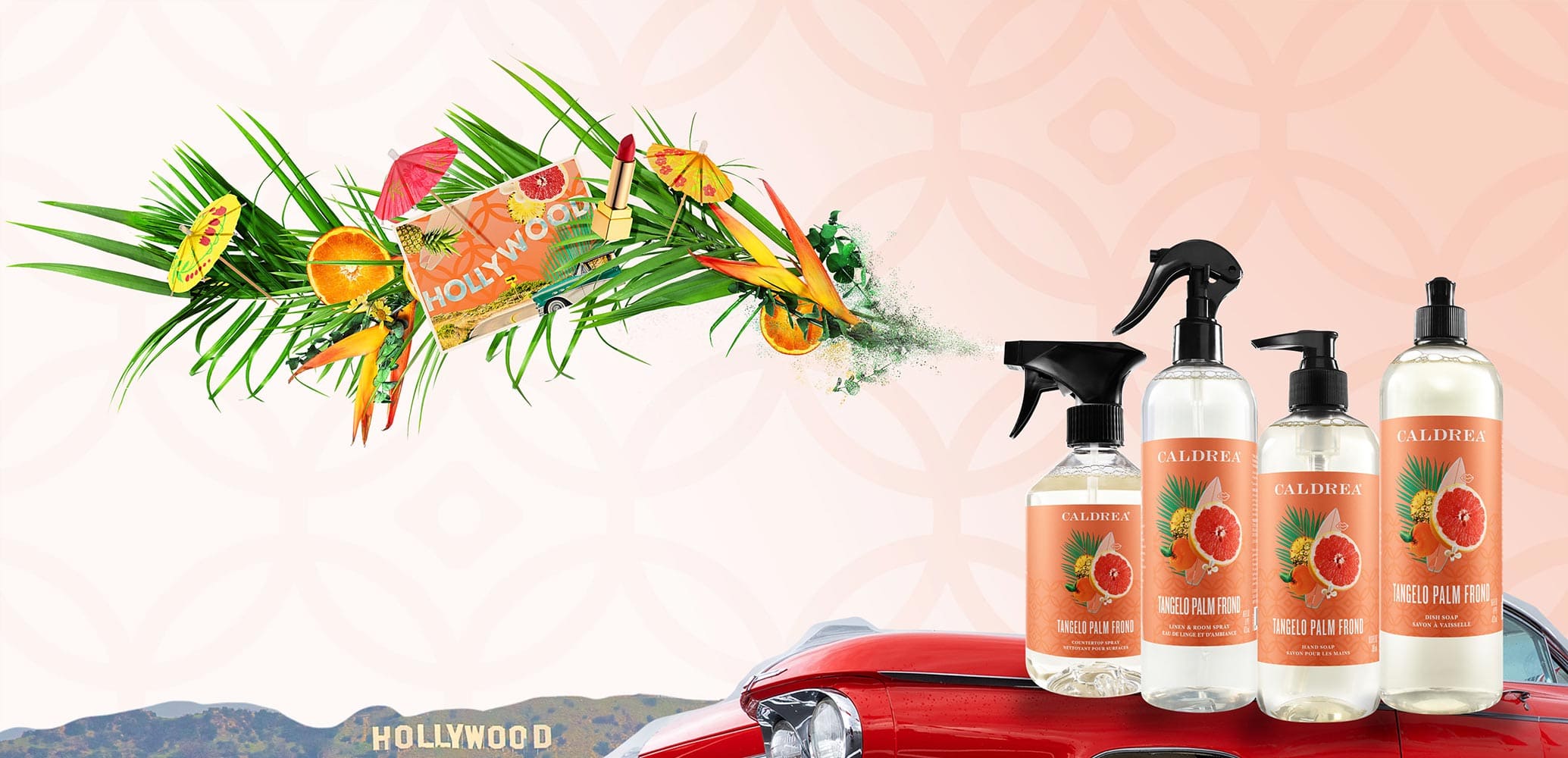 A collection of countertop spray, dish soap, and more spray out elements that encompass our scent: Tangelo Palm Frond.