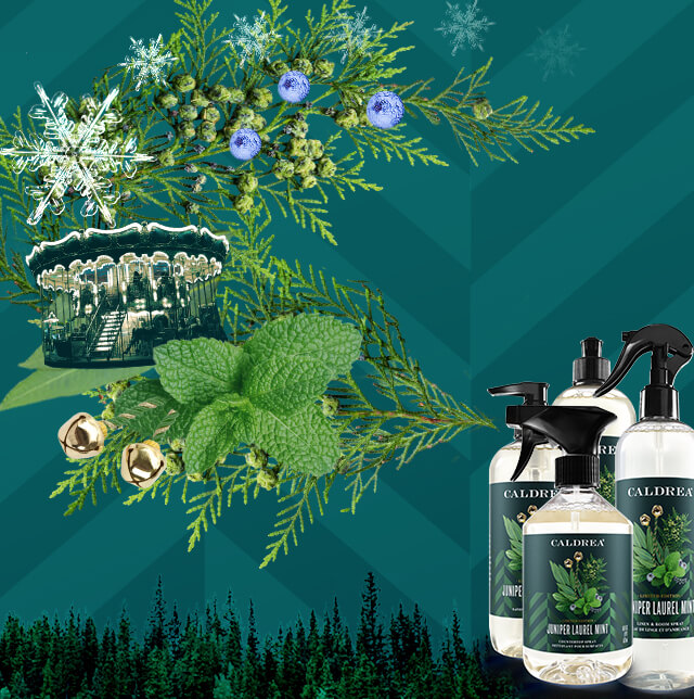 A collection of countertop spray, dish soap, and more spray out elements that encompass our scent: Juniper Laurel Mint.