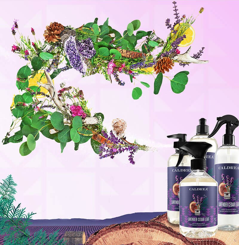 A collection of countertop spray, dish soap, and more spray out elements that encompass our scent: Lavender Cedar Leaf.