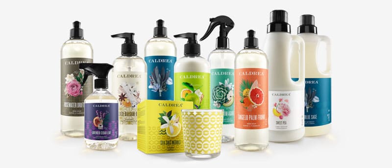 Our dish soaps come in scents such as: Lavender Cedar Leaf, Tangelo Palm Frond, and more.