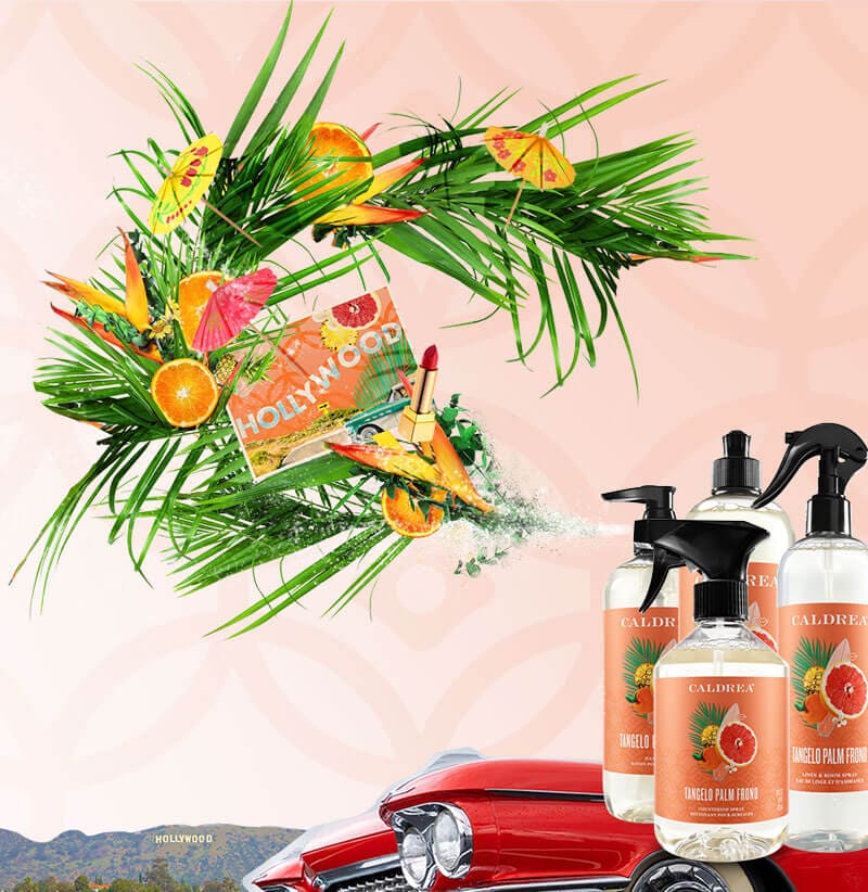 A collection of countertop spray, dish soap, and more spray out elements that encompass our scent: Tangelo Palm Frond.