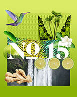 Ginger Pomelo