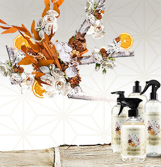 A collection of countertop spray, dish soap, and more spray out elements that encompass our scent: Gilded Balsam Birch. mobile image
