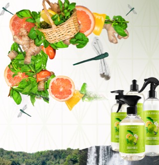 A collection of countertop spray, dish soap, and more spray out elements that encompass our scent: Ginger Pomelo. mobile image