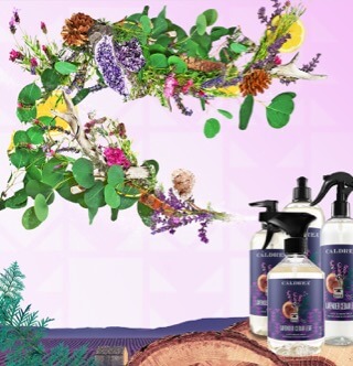 A collection of countertop spray, dish soap, and more spray out elements that encompass our scent: Lavender Cedar Leaf. mobile image
