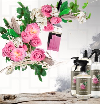 A collection of countertop spray, dish soap, and more, spray out elements that encompass our scent: Rosewater Driftwood. mobile image