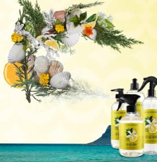 A collection of countertop spray, dish soap, and more spray out elements that encompass our scent: Sea Salt Neroli. mobile image