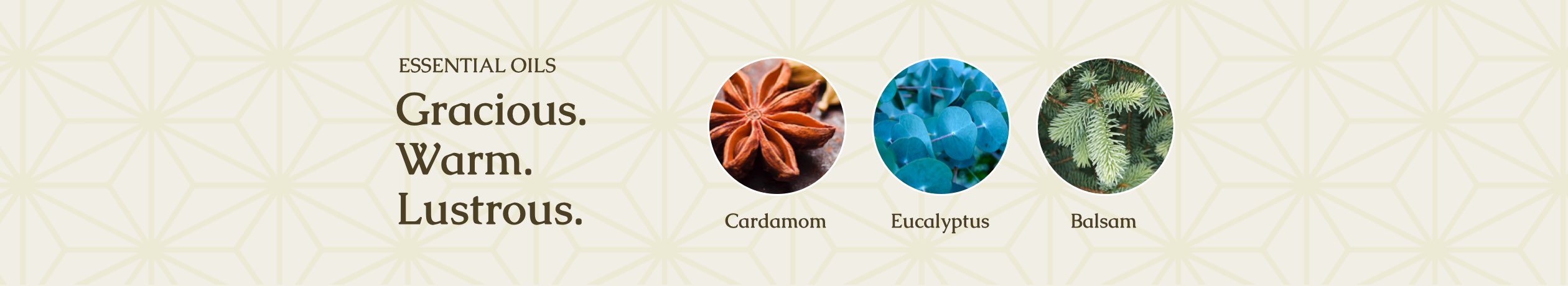 Gilded Balsam Birch uses ingredients like Cardamom, Eucalyptus, Balsam and can be described as gracious, warm and lustrous.