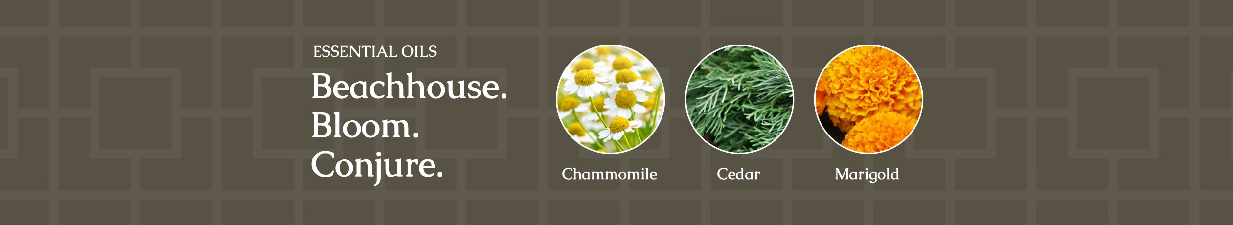 Rosewater Driftwood uses ingredients like Chamomile, Cedar, Marigold and can be described as a beach house, bloom, and conjuring.