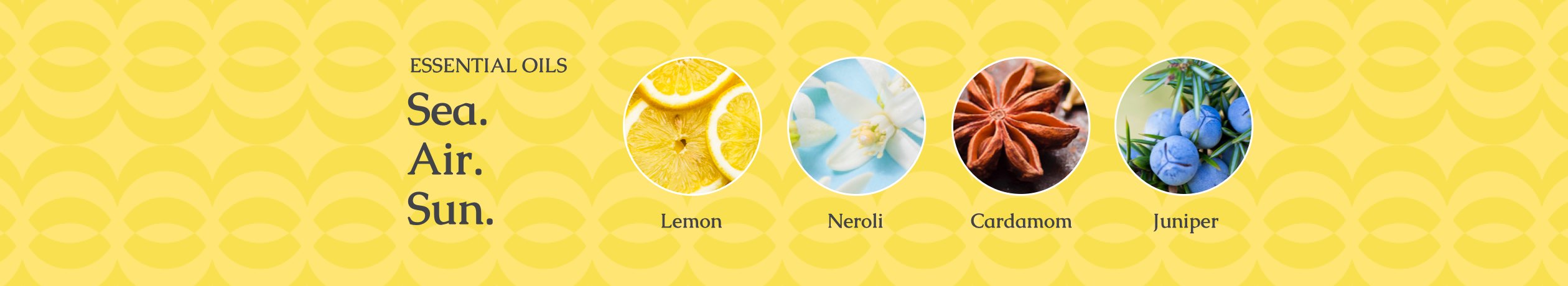 Sea Salt Neroli products use ingredients like Lemon, Neroli, Cardamom, and Juniper and can be described as the sea, air, and sun.