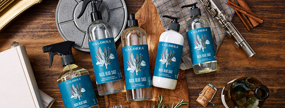 Basil Blue Sage style image