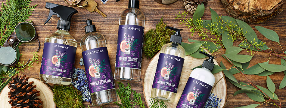 Lavender Cedar Leaf style image