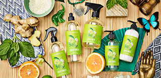 Ginger Pomelo style image